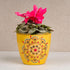 Yellow Flower Ceramic Clay Pots - The Earth Store - Planter